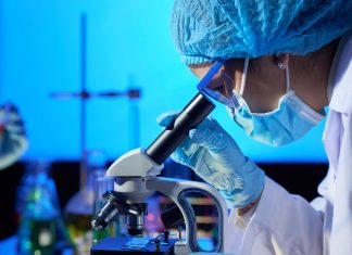 OK to play: Study in microplastics threatens the sexual wellness industry