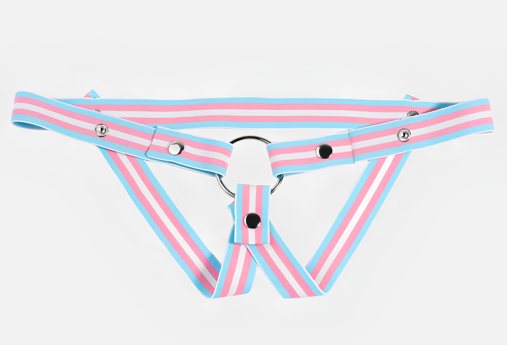 Pride Chastity Belt by Lockd